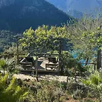 Olive Garden Kabak