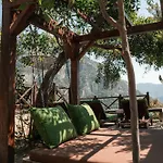 Olive Garden Kabak