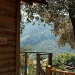 Olive Garden Kabak 2* Faralya