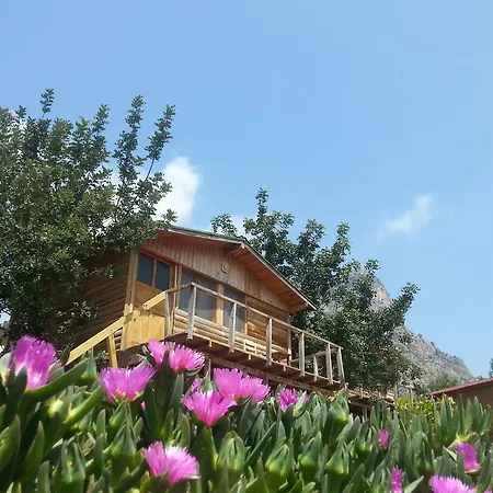 Vakantiepark Olive Garden Kabak Faralya