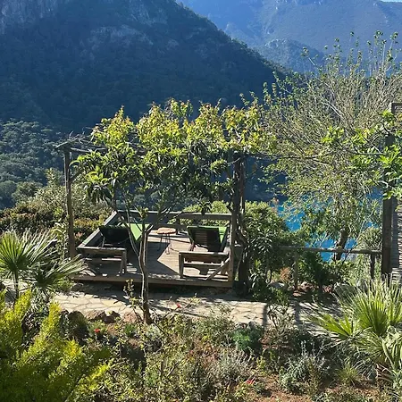 Olive Garden Kabak