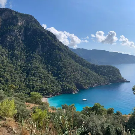 Tatil parkı Olive Garden Kabak