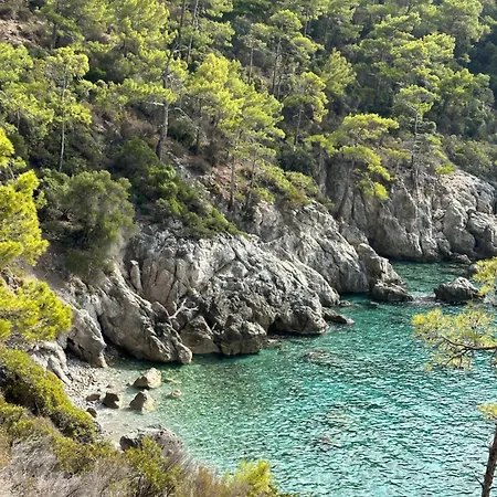 Feriepark Olive Garden Kabak 2*