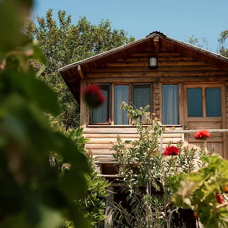 Olive Garden Kabak Feriepark Faralya