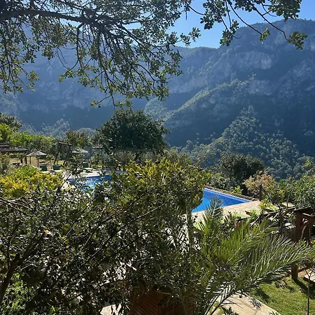 Olive Garden Kabak 2*