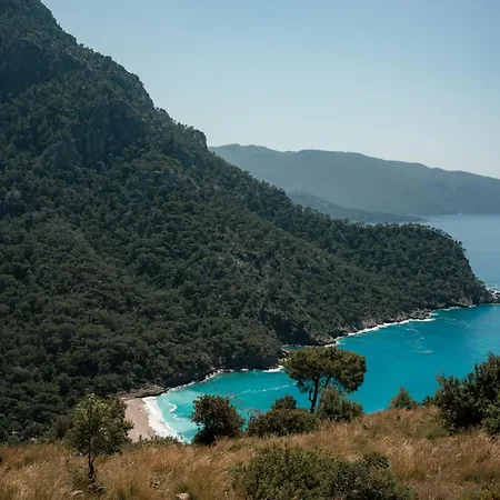 Feriepark Olive Garden Kabak