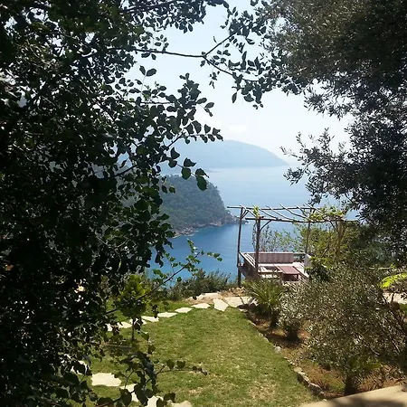 Üdülőpark Olive Garden Kabak 2*