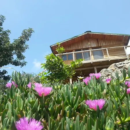 Olive Garden Kabak Holiday park 2*