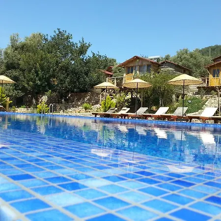 Üdülőpark Olive Garden Kabak 2*