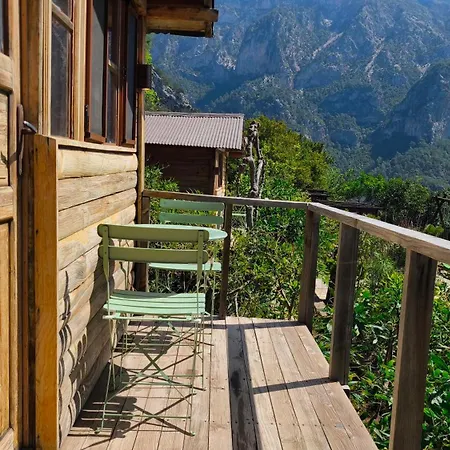 Olive Garden Kabak Üdülőpark Faralya