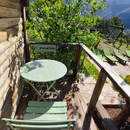 Olive Garden Kabak 파랄리아