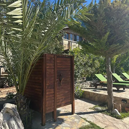 Olive Garden Kabak 파랄리아