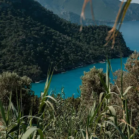 Parc de vacanță Olive Garden Kabak Faralya
