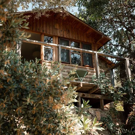 Holiday park Olive Garden Kabak