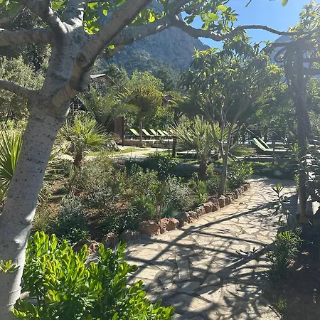 Olive Garden Kabak Parc de vacanță 2*