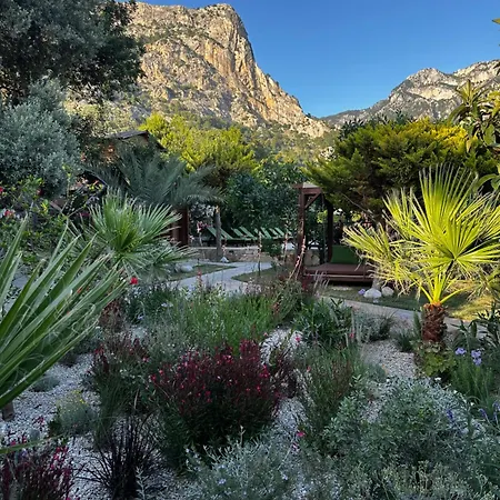 홀리데이파크 Olive Garden Kabak 2*