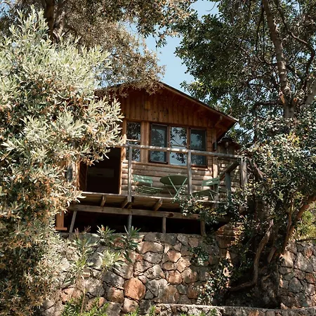 Olive Garden Kabak Parc de vacanță Faralya