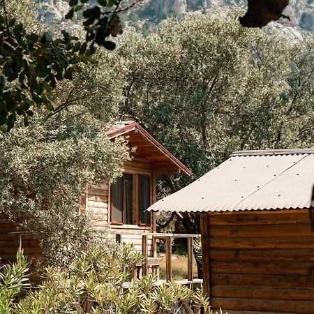 Parc de vacanță Olive Garden Kabak Faralya