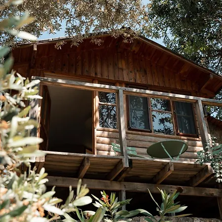 Holiday park Olive Garden Kabak Faralya