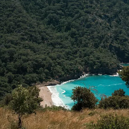 Olive Garden Kabak Holiday park