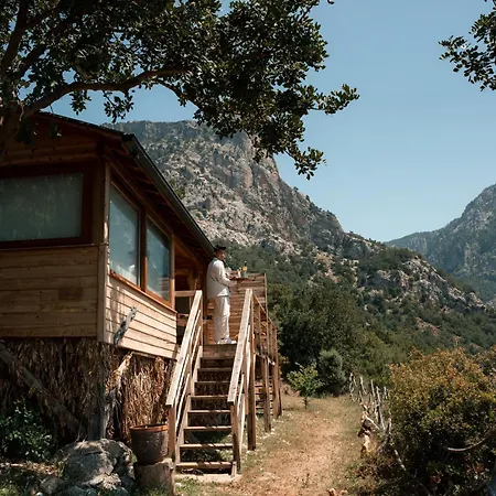 홀리데이파크 Olive Garden Kabak