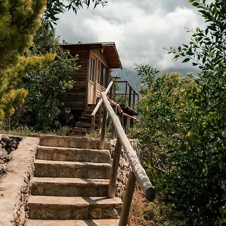 홀리데이파크 Olive Garden Kabak 파랄리아