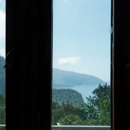 Olive Garden Kabak 홀리데이파크