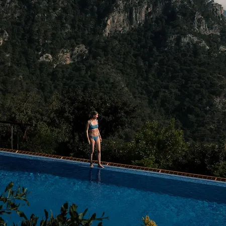 Olive Garden Kabak 파랄리아