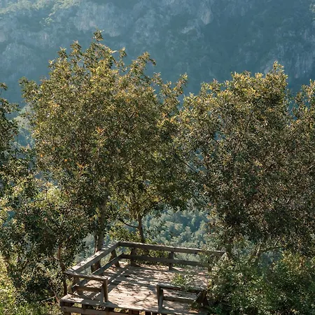 Olive Garden Kabak Holiday park Faralya