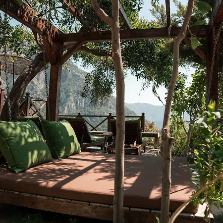 Olive Garden Kabak 파랄리아