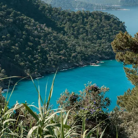 Olive Garden Kabak 2* 파랄리아