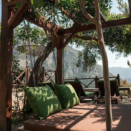 Olive Garden Kabak