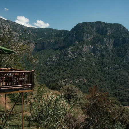 Olive Garden Kabak 파랄리아