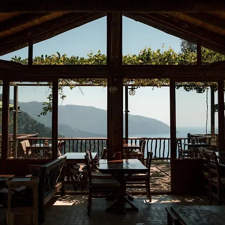 Olive Garden Kabak 파랄리아