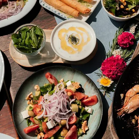 홀리데이파크 Olive Garden Kabak 파랄리아