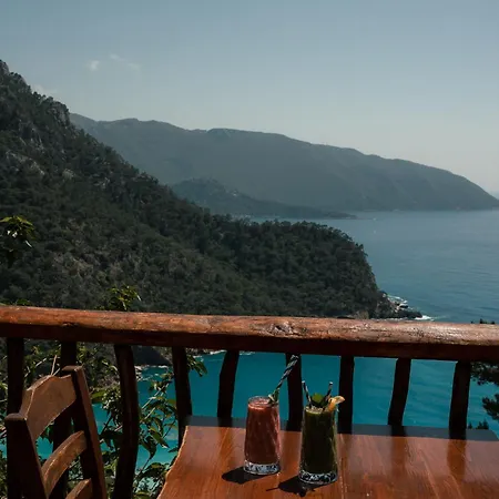 Olive Garden Kabak 2*