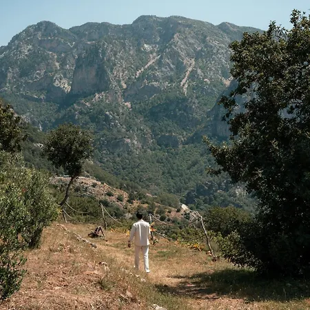 Olive Garden Kabak Parc de vacanță