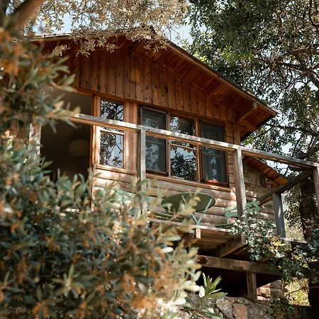 Olive Garden Kabak 홀리데이파크 2*