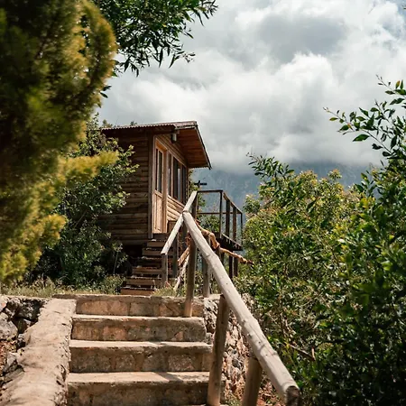 홀리데이파크 Olive Garden Kabak 2*