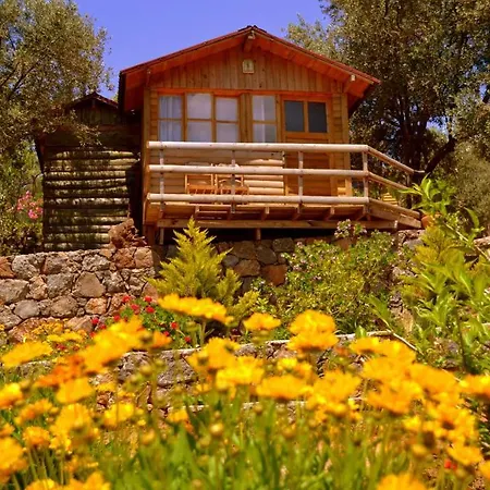 Olive Garden Kabak Holiday park 2*