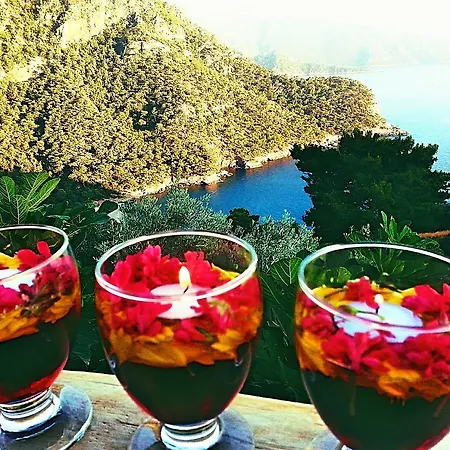 Holiday park Olive Garden Kabak 2*