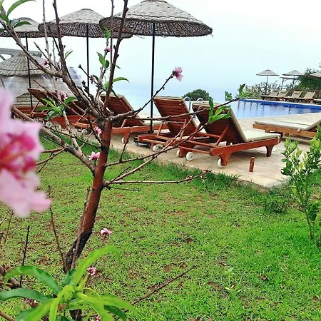 Üdülőpark Olive Garden Kabak