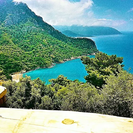 Üdülőpark Olive Garden Kabak 2*