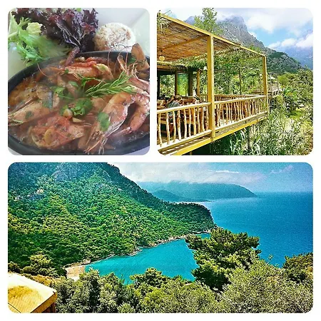 Olive Garden Kabak