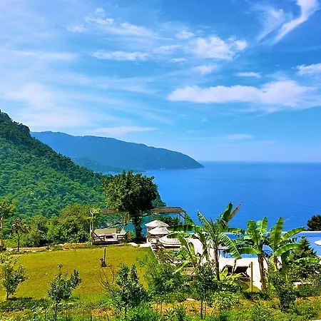 Üdülőpark Olive Garden Kabak