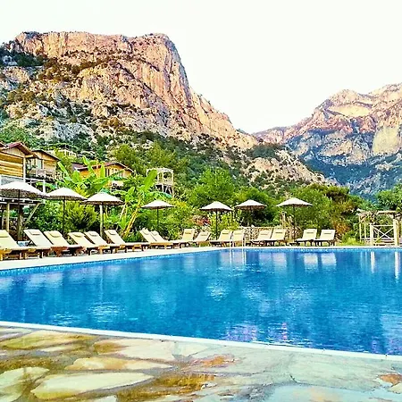 Üdülőpark Olive Garden Kabak Faralya