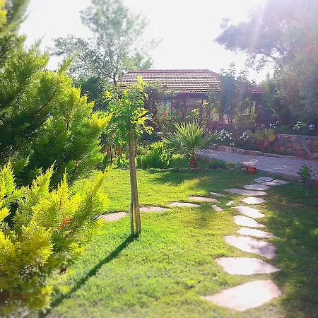 Üdülőpark Olive Garden Kabak 2*