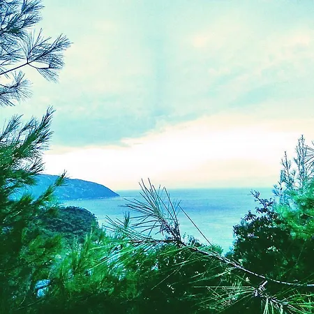 Olive Garden Kabak Faralya