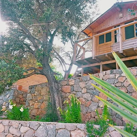 Üdülőpark Olive Garden Kabak Faralya