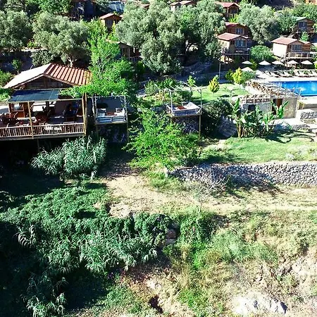 Üdülőpark Olive Garden Kabak 2*